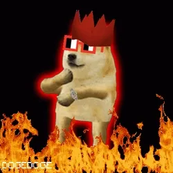 DOGEDOGE #818