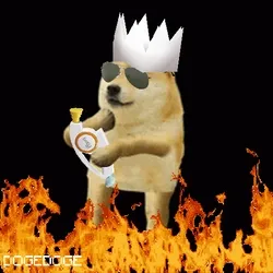 DOGEDOGE #612