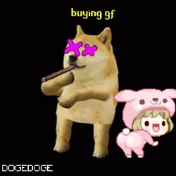 DOGEDOGE #502