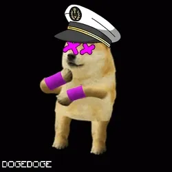 DOGEDOGE #511