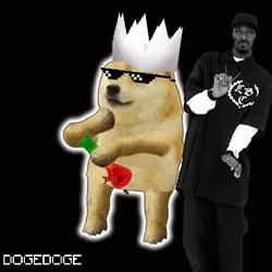 DOGEDOGE #978