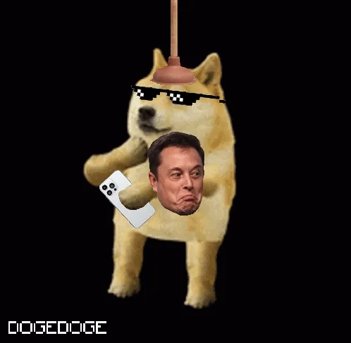 Dogedogenft