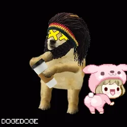 DOGEDOGE #469