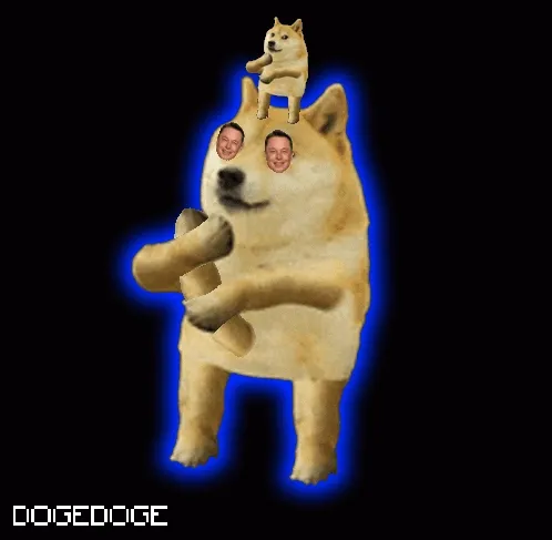 Dogedogenft