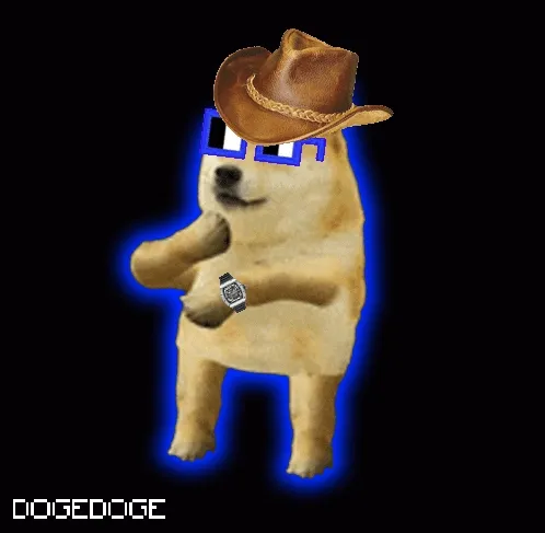 DOGEDOGE #1562