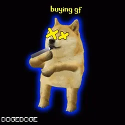 DOGEDOGE #343
