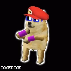 DOGEDOGE #31
