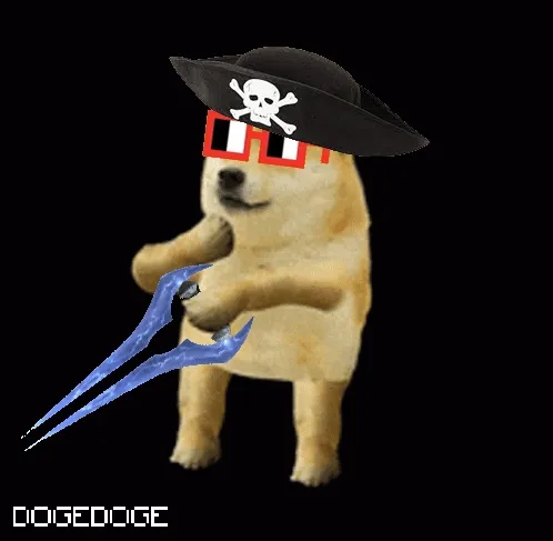 DOGEDOGE #528