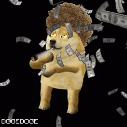 803