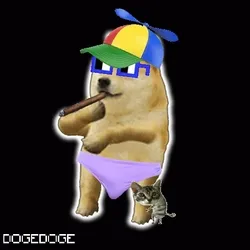 DOGEDOGE #1120