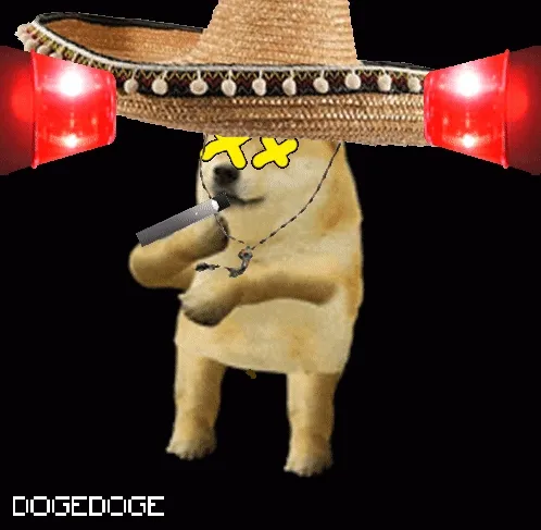 DOGEDOGE #1873