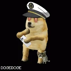 DOGEDOGE #1968