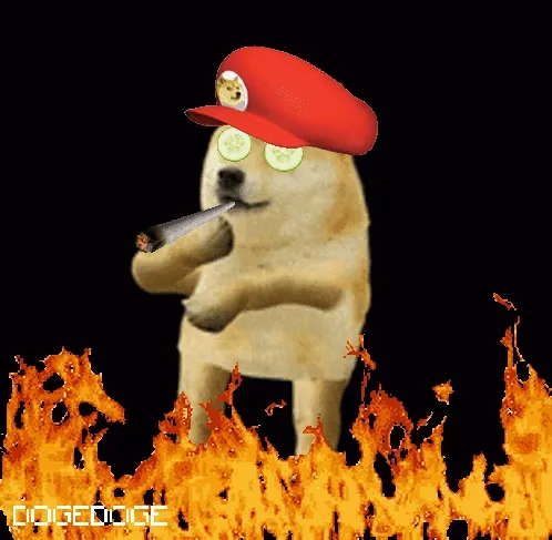 Dogedogenft