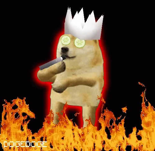Dogedogenft