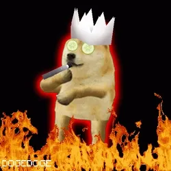 DOGEDOGE #49