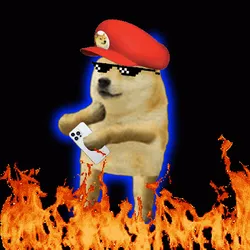 519