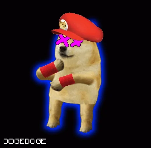 DOGEDOGE #1019