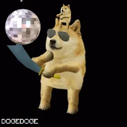 DOGEDOGE #366