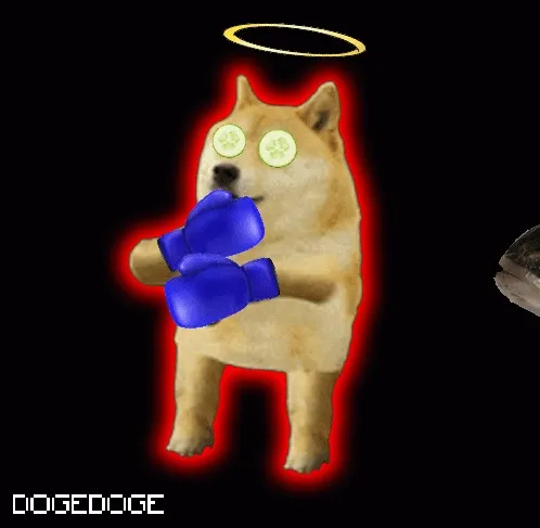 DOGEDOGE #1794