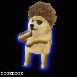 DOGEDOGE #453