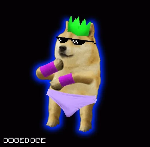 DOGEDOGE #261