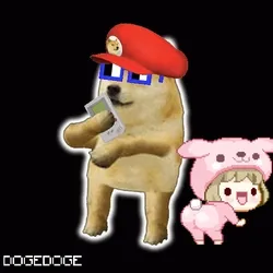DOGEDOGE #833
