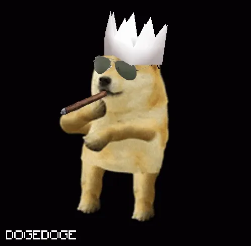 DOGEDOGE #1231