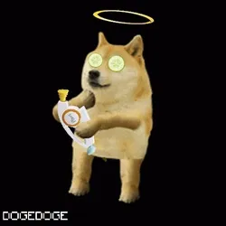DOGEDOGE #1869