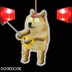 DOGEDOGE #989