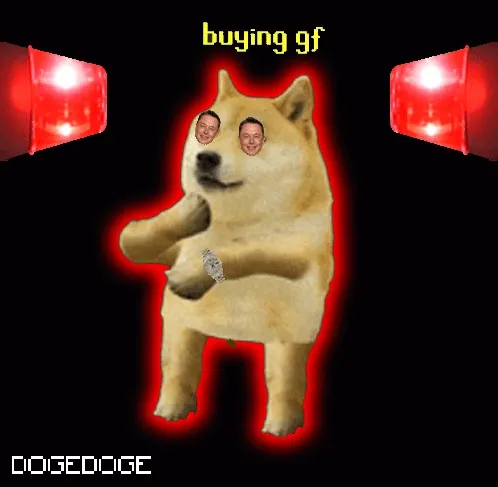 DOGEDOGE #1637