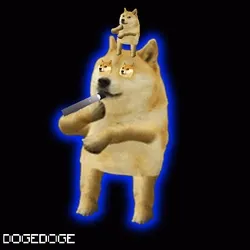 DOGEDOGE #1316
