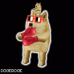 DOGEDOGE #331