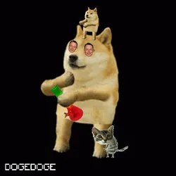 1033