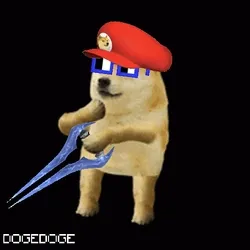 DOGEDOGE #371