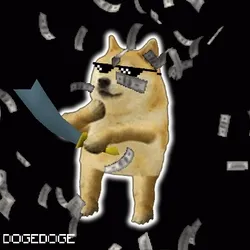 DOGEDOGE #998