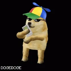 DOGEDOGE #548
