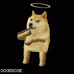 DOGEDOGE #85