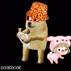 DOGEDOGE #1262