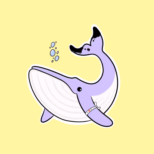 Whaledrop #483