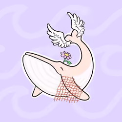 Whaledrop #37