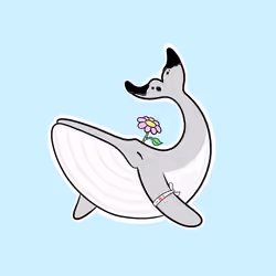 Whaledrop #789