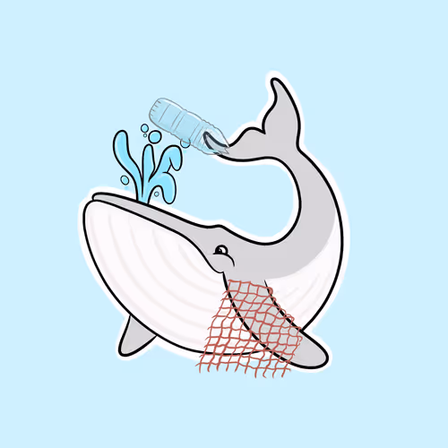 Whaledrop Io V2