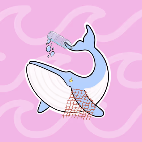 Whaledrop #467