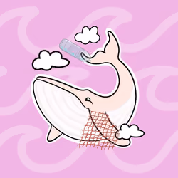 Whaledrop #209