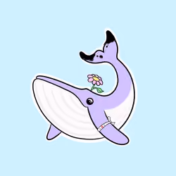Whaledrop #695