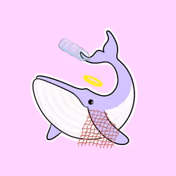 Whaledrop #795