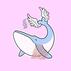 Whaledrop #864
