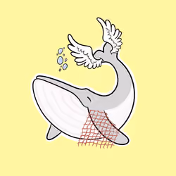 Whaledrop #800
