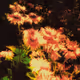 HIGH FEVER V2