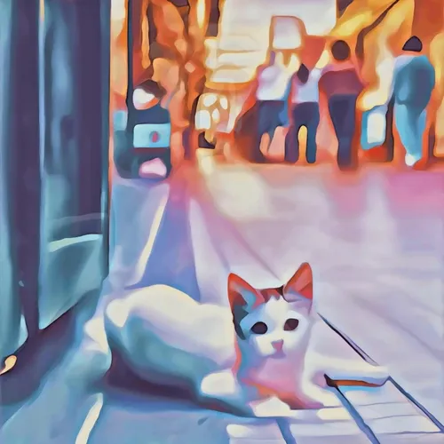 friendly neighborhood cat